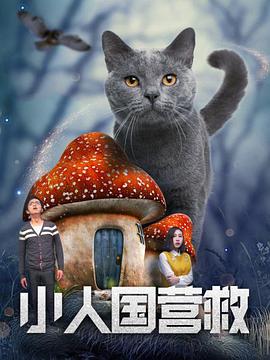 欧美精品91